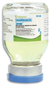 LEVOX 250MG 50ML SOL FOR INF VIAL 1S