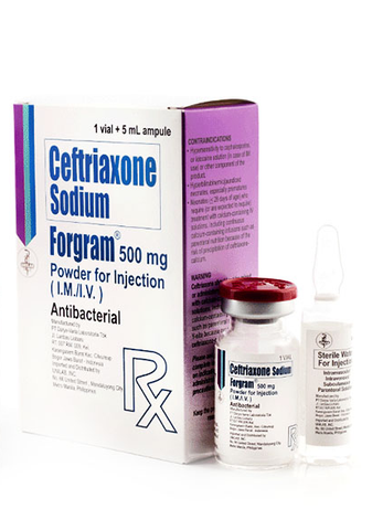 FORGRAM W/DILUENT 500MG VIAL 1S